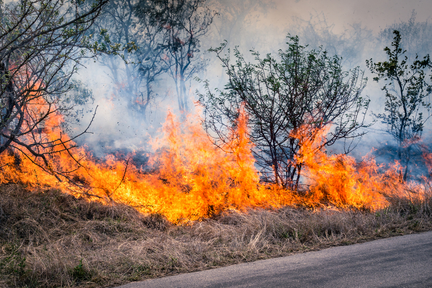 Amsterdam Island Wildfire: A Wake-Up Call for Remote Location Logistics