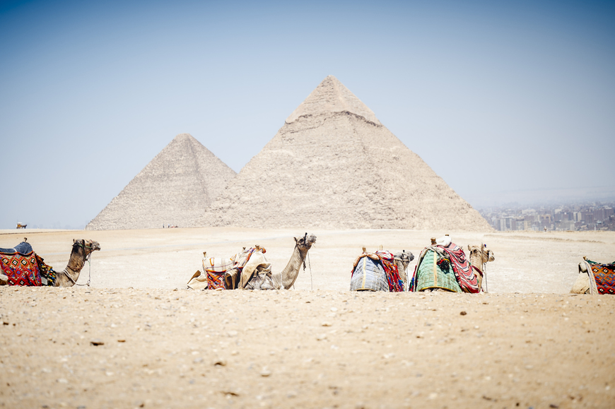 Egypt-Spain Partnership Creates Opportunities in Shipping and Trade
