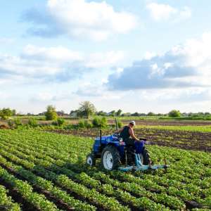 Adapting to Evolving GMO Regulations in European Agriculture