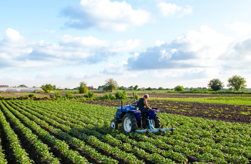 Adapting to Evolving GMO Regulations in European Agriculture