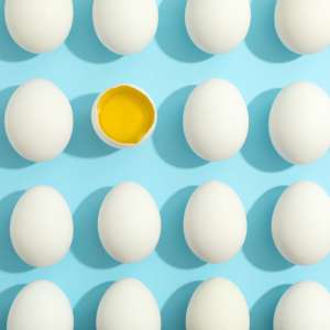 US Egg Shortage: A Case for Efficient International Shipping