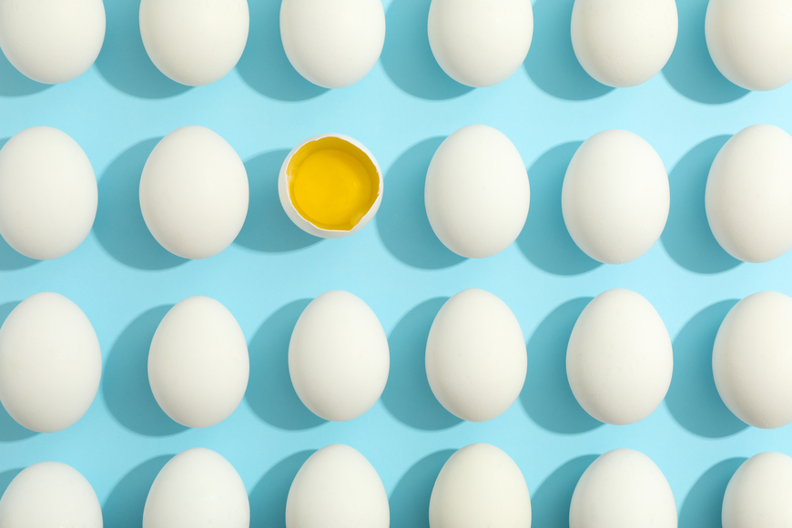US Egg Shortage: A Case for Efficient International Shipping